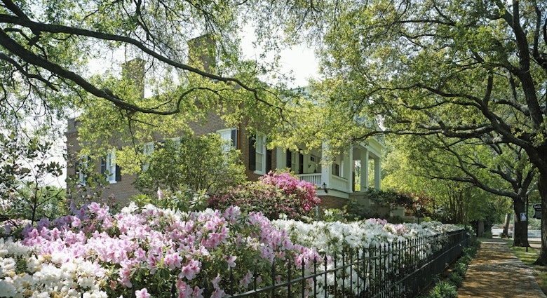 UNITED STATES - APRIL 15:  Springtime in Natchez, Mississippi (Photo by Carol M. Highsmith/Buyenlarge/Getty Images)